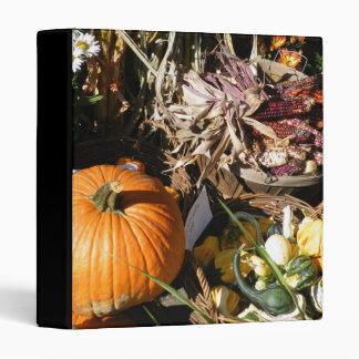 Autumn Harvest Binder