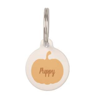 Autumn Harvest Little Pumpkin Custom Name Pet ID Tag