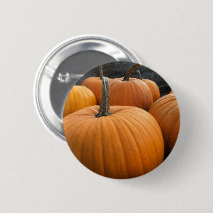 Autumn Harvest Orange Pumpkins Button