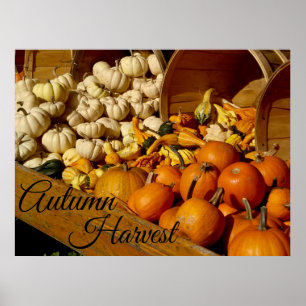 Autumn Harvest Poster