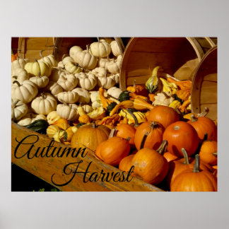 Autumn Harvest Poster
