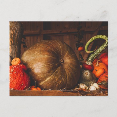 Autumn Harvest Pumpkins Gourds Thanksgiving Fall Postcard