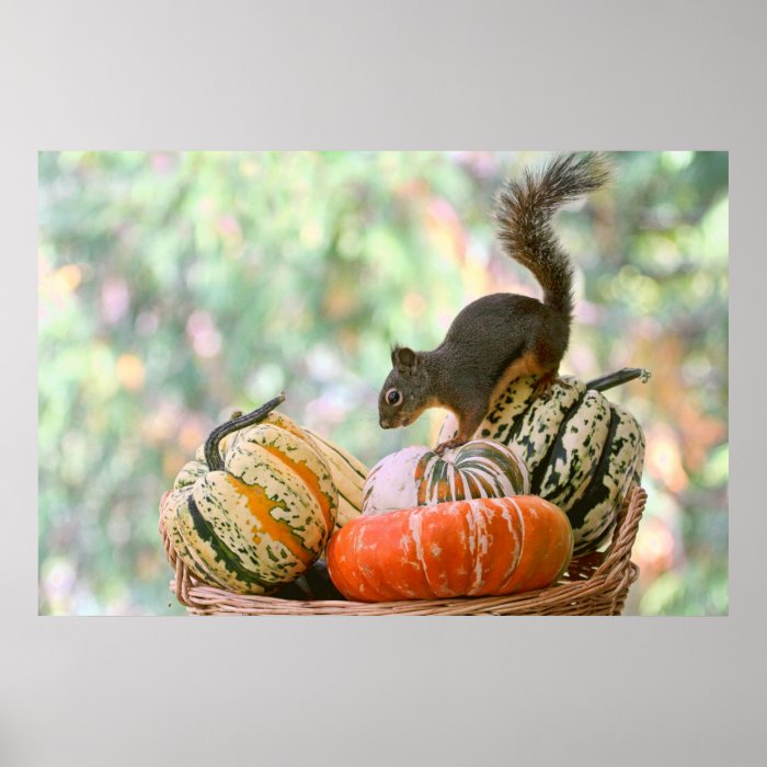 Autumn Harvest Squirrel Print