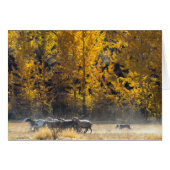 Autumn Herding (Front Horizontal)