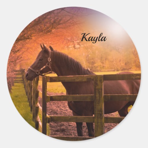 Autumn Horse   Classic Round Sticker