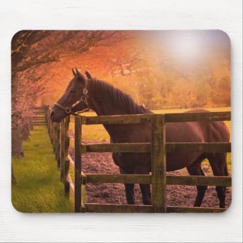 Autumn Horse Mouse Pad