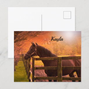 Autumn Horse   Postcard