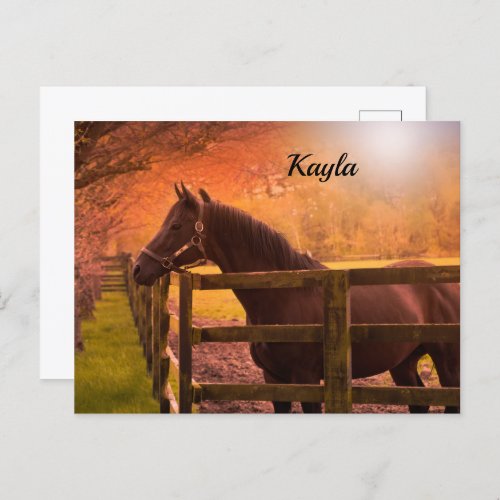 Autumn Horse   Postcard