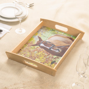 Autumn Horse Serving Tray