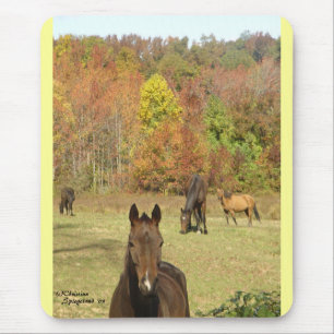 Autumn Horses Mousepad