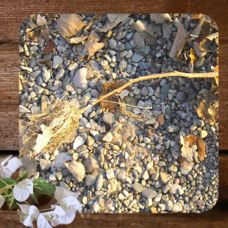 Autumn Impression Square Paper Coaster