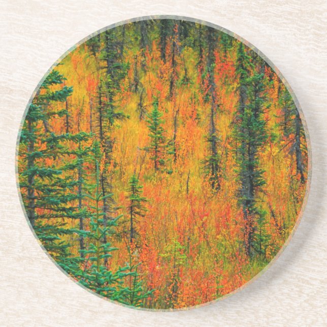 Autumn in a meadow drink coaster (Front)