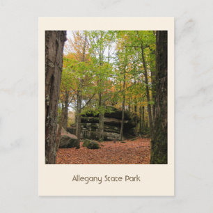 Autumn in Allegany Postcard
