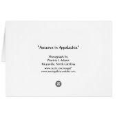 Autumn in Appalachia Cards (Back Horizontal)