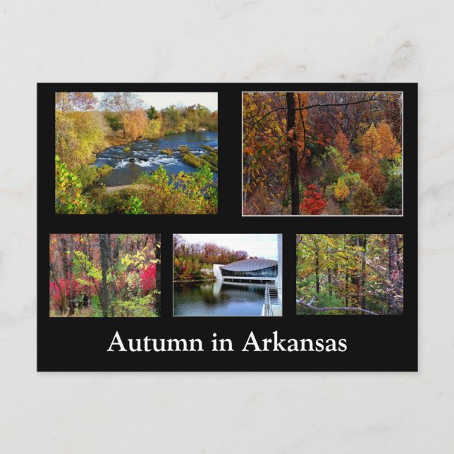 Autumn in Arkansas Photograph Postcard (Front)