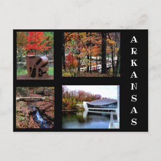 Autumn in Bentonville Arkansas Photograph Postcard