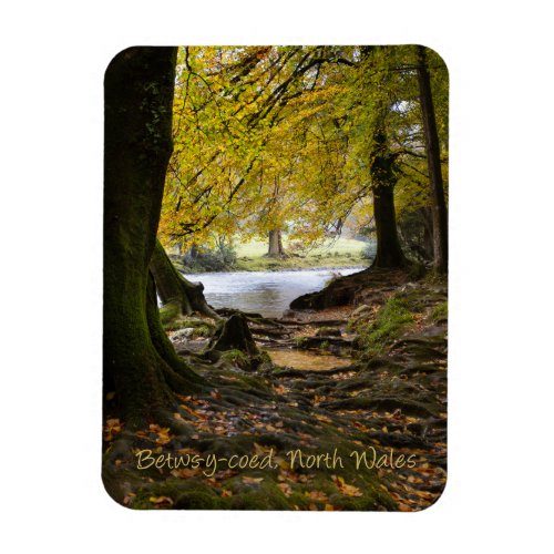 Autumn in Betws_y_coed North Wales Magnet
