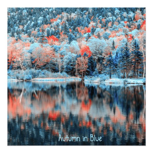 Autumn in Blue Photo Print