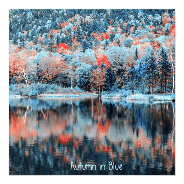 Autumn in Blue Photo Print (Front)
