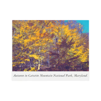Autumn in Catoctin Mountain National Park Metal Print