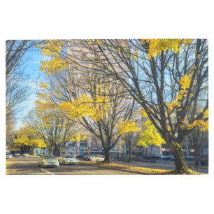 autumn in city metal print