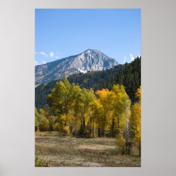 Autumn In Colorado Poster by bluerabbit at Zazzle