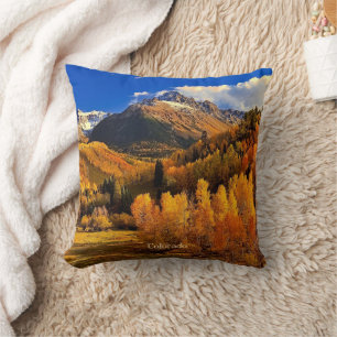 Autumn in Colorado Throw Pillow