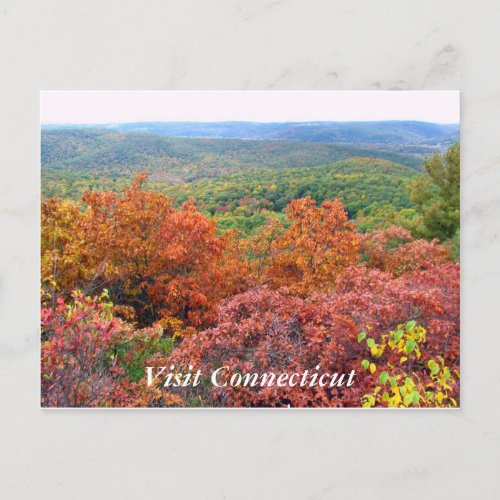 Autumn in Connecticut Postcard