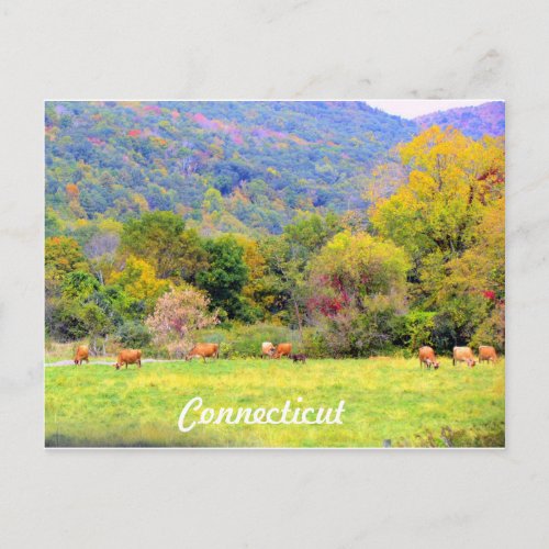 Autumn in CT Postcard
