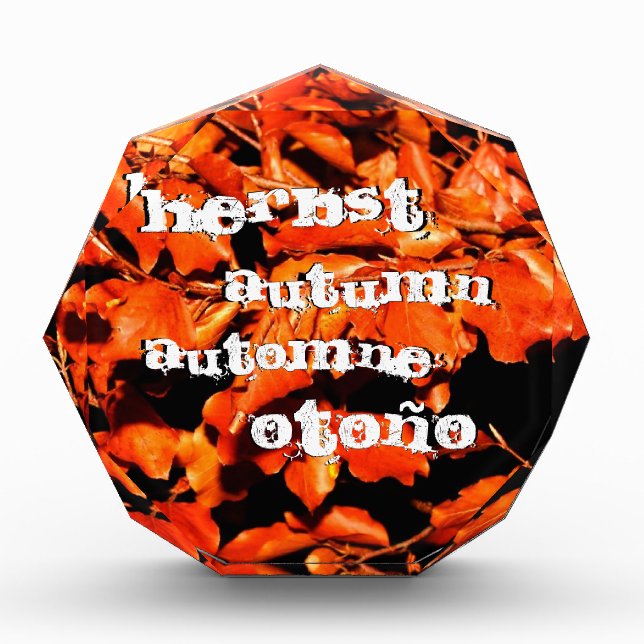 Autumn in Forest Award (Front)