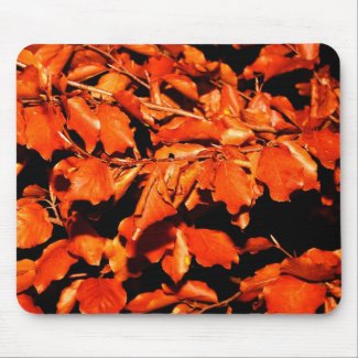 Autumn in Forest Mouse Pad