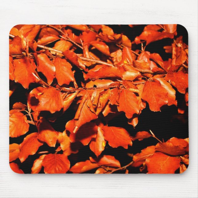 Autumn in Forest Mouse Pad (Front)