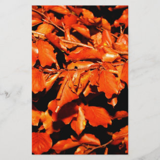 Autumn in Forest Stationery