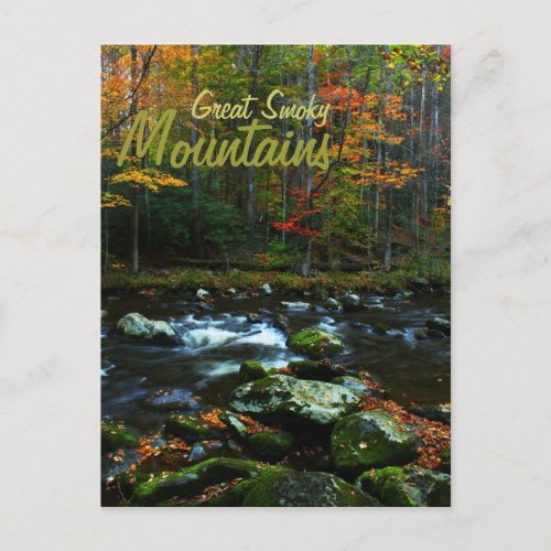 Autumn in Great Smoky Mountains Postcard