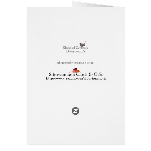 Autumn in Iowa (Back)