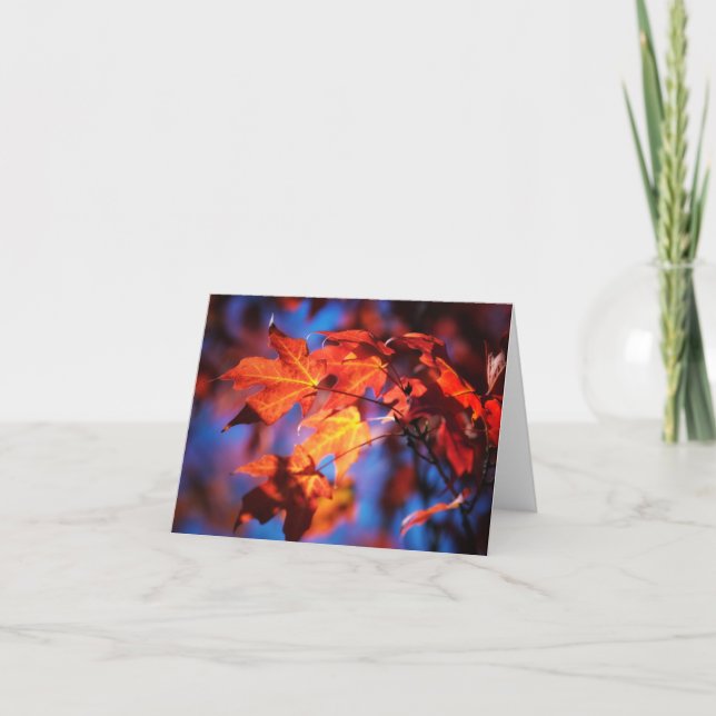 Autumn in Iowa Note Card (Front)