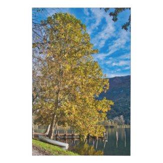 Autumn in Italy with tree and boat by the lake