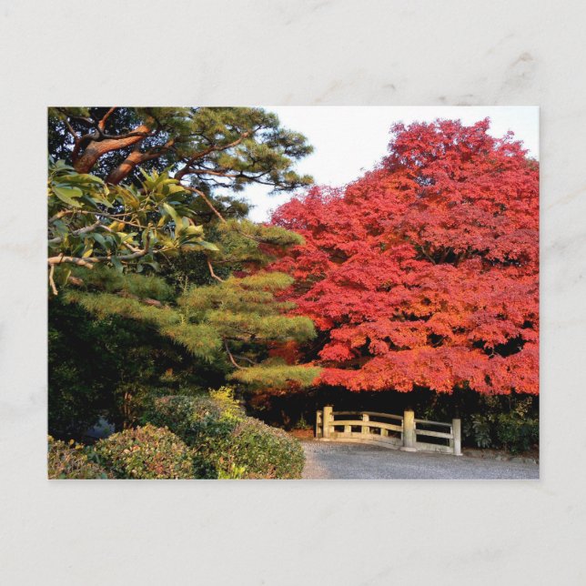 Autumn in Japan Postcard (Front)