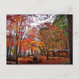 Autumn in Korea Postcard