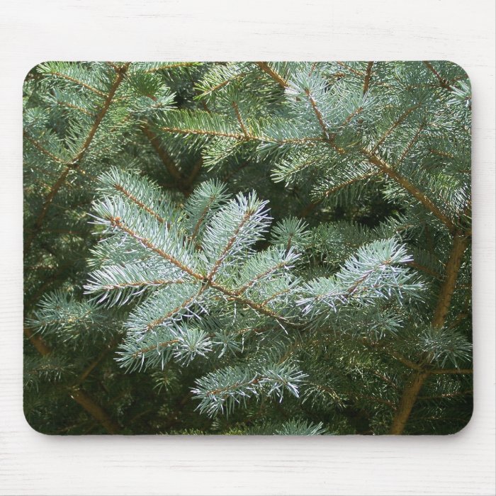 Autumn In Maine Mouse Pad