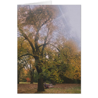 Autumn in Melbourne Cards