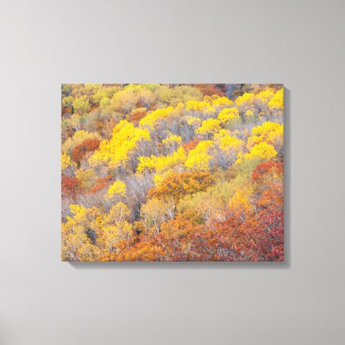 Autumn in Michigan Canvas Print