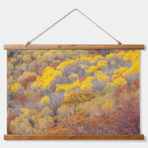 Autumn in Michigan Hanging Tapestry