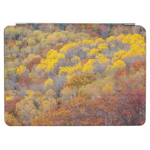 Autumn in Michigan iPad Air Cover