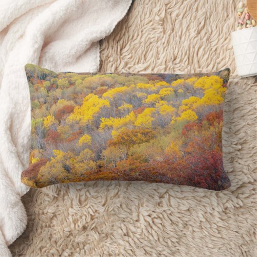 Autumn in Michigan Lumbar Pillow