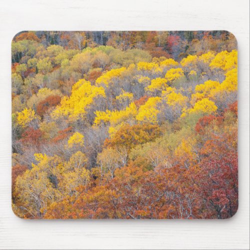 Autumn in Michigan Mouse Pad