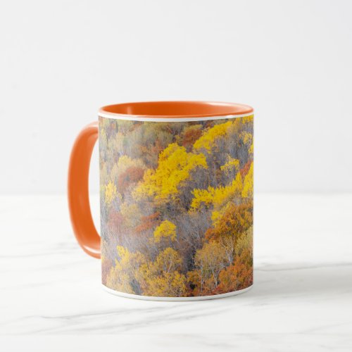 Autumn in Michigan Mug