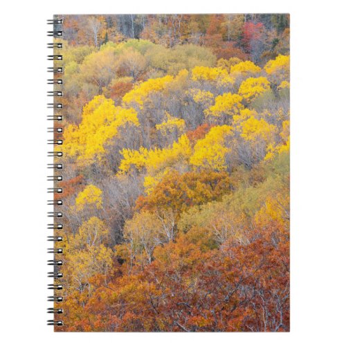 Autumn in Michigan Notebook