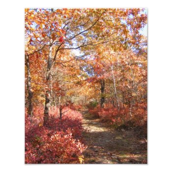 Autumn In New England 27 ~ Photo by Andy2302 at Zazzle
