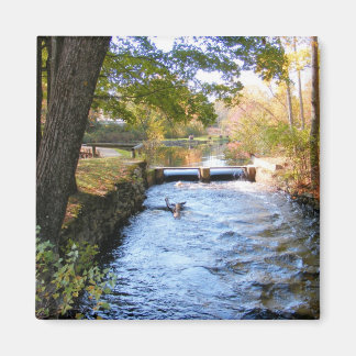 Autumn in New England 47 ~ magnet